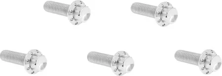 Arlen Ness Titanium Derby Cover Bolt Kit In Polished For 2007-2017 Softail, Dyna & 2007-2026 Touring (300-938)