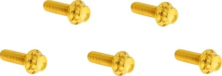 Arlen Ness Titanium Derby Cover Bolt Kit In Gold For 2007-2017 Softail, Dyna & 2007-2026 Touring (300-940)